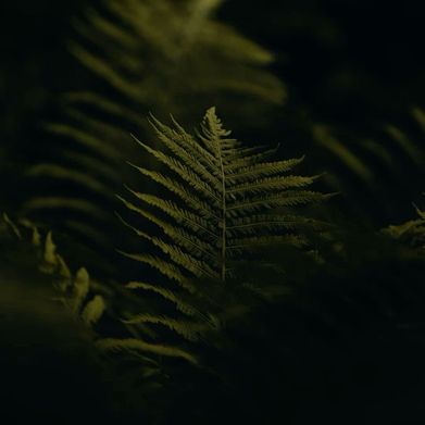 Jenna Leigh Added Photo on 2025-04-07