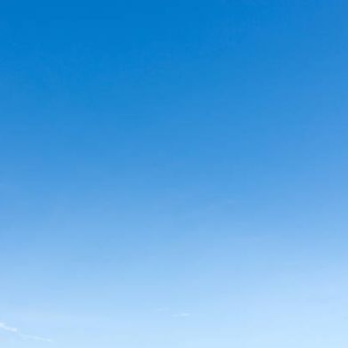 BellaCox (belacox1) Header Photo Added 2025-02-13