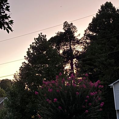 Bentley lynn Added Photo on 2025-09-17