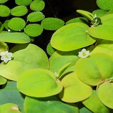 Sarah (blue.hair.biome) Header Photo Added 2025-08-15