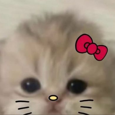 Muerte🖤 ⛧ (paulafrancisca666) Profile Photo Added 2025-11-24