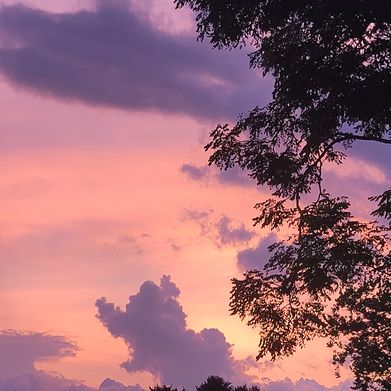 Lotus (lotusmarie87) Profile Photo Added 2025-07-31