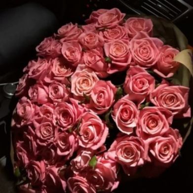 Beka Feer (bekafeerbb) Header Photo Added 2024-10-15