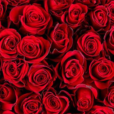 Michelle💋 (badgalmichelle) Header Photo Added 2025-09-16