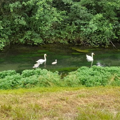 TV Luna (tvcdluna) Header Photo Added 2025-08-02