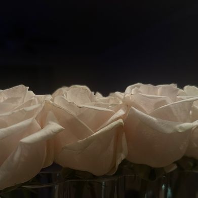 Sienna V 🤍 (siennavossxo) Header Photo Added 2025-02-23