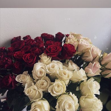 DASHA DIME (dashadime) Header Photo Added 2025-11-11