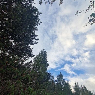 Harriet (onlyharrietfans) Header Photo Added 2025-12-01