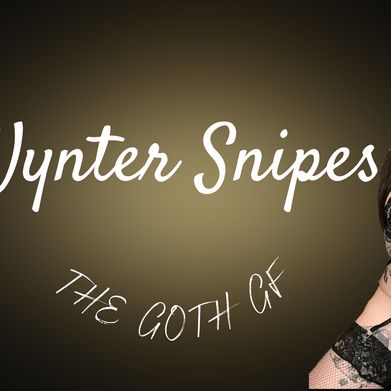 Wynter Snipes (wyntersnipes) Header Photo Added 2025-02-11