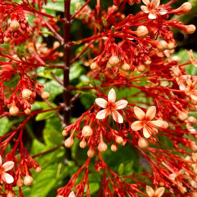 Riley Sage (real_rileysage) Header Photo Added 2025-09-17