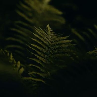 Jenna Leigh Added Photo on 2025-05-06