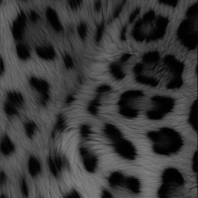 Samika 😈 (saamika) Header Photo Added 2025-06-02