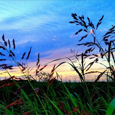 Kaytie Kink (kaytiekink11) Header Photo Added 2025-09-09