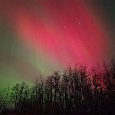 Shortnsweet (u501716976) Header Photo Added 2025-11-19