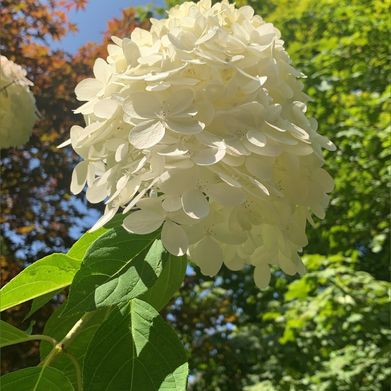 Tina (tina.marie) Header Photo Added 2024-12-26