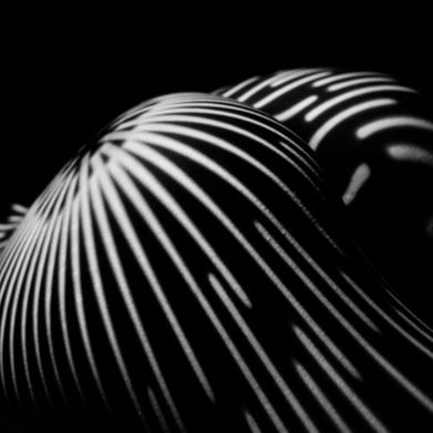 𝑪𝒉𝒆𝒓𝒓𝒚 𝑾𝒊𝒏𝒕𝒆𝒓𝒔 𝑷𝑷𝑽 ♡ (werrychinters) Header Photo Added 2024-09-14