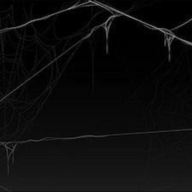 gothiccthorn (gothiccthorn) Header Photo Added 2025-02-08