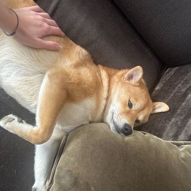 Klárka 🎀 (klaryska) Header Photo Added 2024-12-19