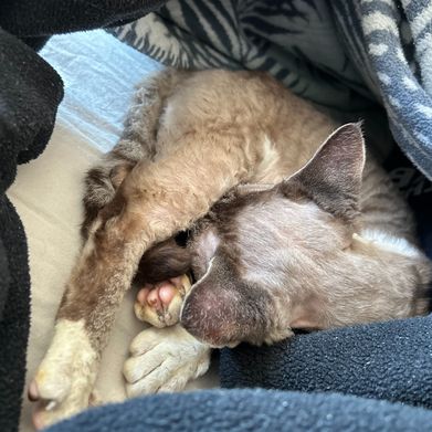 Kira (kira_babee) Header Photo Added 2025-07-15