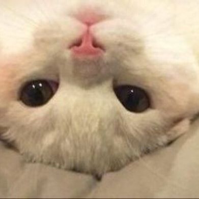 Alix 🤍 (aaliixx) Header Photo Added 2025-10-14