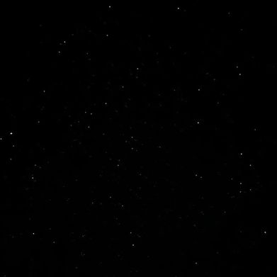 OnlyFans Model 💗Sydswrld444💗 (sydswrld444) Profile Image