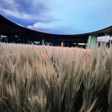 whatspom (whatspom) Header Photo Added 2025-01-29