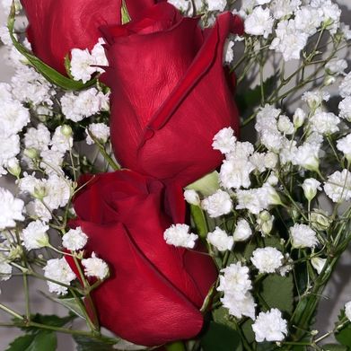 Kim Marie FREE (kimmarie808free) Header Photo Added 2024-10-15