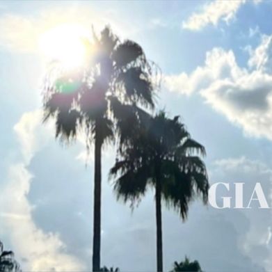 Giana Gold TV (gianagoldtv) Header Photo Added 2025-09-17