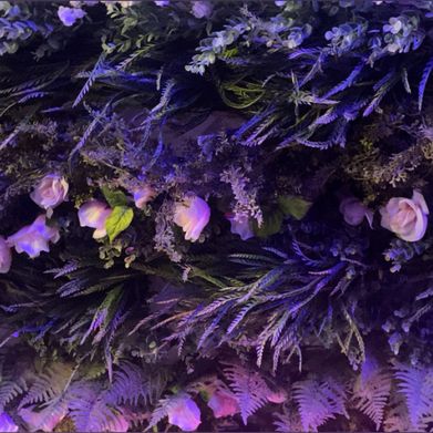 Lyss 🦋 (mysticgeminii) Header Photo Added 2025-04-19