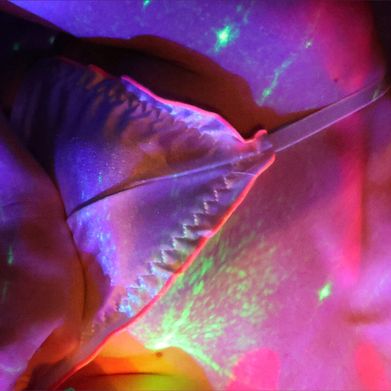 Britt Rachelle (brittrachelle18) Header Photo Added 2025-09-26