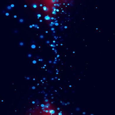 Blue Happiness (bluehappiness2) Header Photo Added 2025-08-13