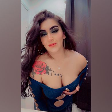 La Golondrina (lagolondrina82) Header Photo Added 2025-07-06