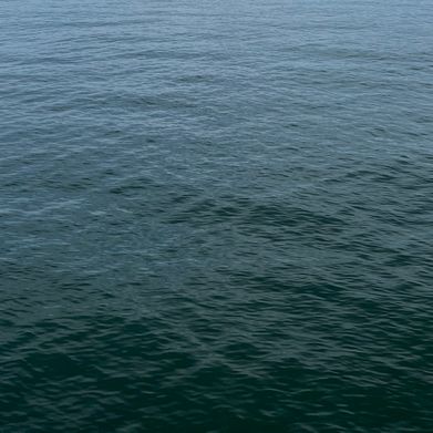 Darlene Dublin (darlenedublin99) Header Photo Added 2025-06-14