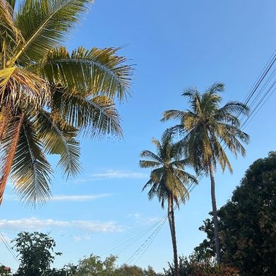 Kali Reign (kali_reign) Header Photo Added 2025-12-28