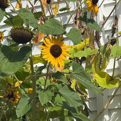 Ciarra Gray (hotmama202522) Header Photo Added 2025-11-25