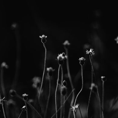 Goddess Liz (cutegoddes) Header Photo Added 2025-02-08