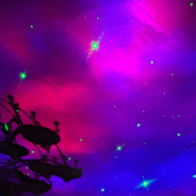 Mira 🤍 (meeera) Profile Photo Added 2025-06-07