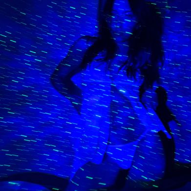 Lia (lilliaros) Profile Photo Added 2025-10-11