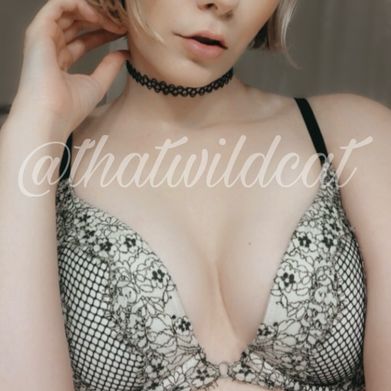 OnlyFans Model WildCat (thatwildcat) Profile Image