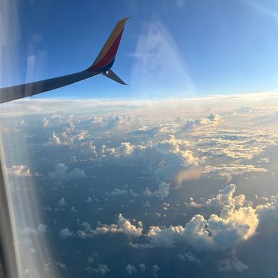 Emerald Muse (emeraldstars) Header Photo Added 2025-09-07