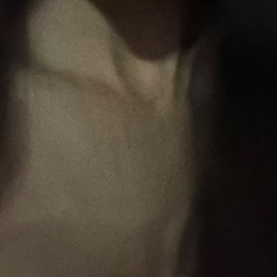 OnlyFans Model Rose (sweetpheart) Profile Image