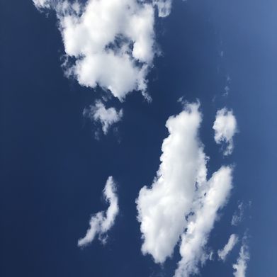 honeygirl (hg1414) Header Photo Added 2024-08-26