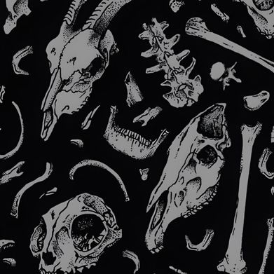 𝚜𝚊𝚋𝚛𝚒𝚗𝚊ᥫ᭡. Added Photo on 2025-04-16