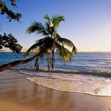 Akira (akiraa_xx) Header Photo Added 2025-11-19