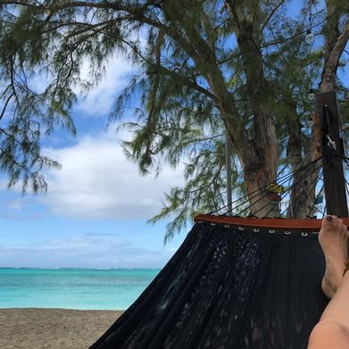 Amie Dawn 🦩 (amiedawn) Header Photo Added 2025-09-12