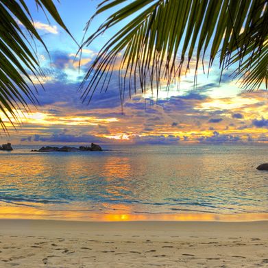 Sophia Velvet (sophiavelvet25) Header Photo Added 2025-08-16