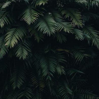 bognaughty (bognaughty) Header Photo Added 2025-10-09