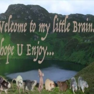 ✰ dahlia ✰ (dal.ee.uh) Header Photo Added 2025-07-07