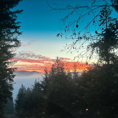 Sugarbear420 (u304364152) Header Photo Added 2025-01-07