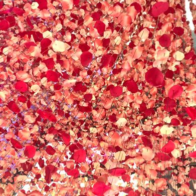 🩷Peachyxbum🩷 (pchyxbum) Header Photo Added 2024-10-15